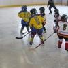 Přátelák HC Kobra 2003 - HC Domažlice 2010 26.8.2010